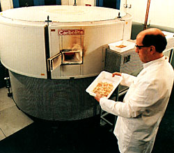 Custom built rotary hearth furnace