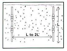 multiple driven rods