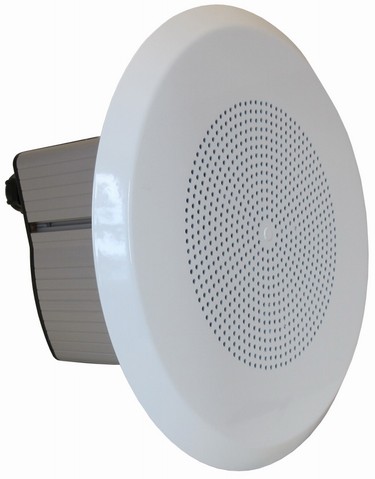 DNH Loudspeakers BAREEX-36(T)