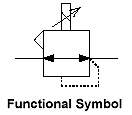 Functional Symbol